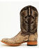 Image #3 - Cody James Men's Exotic Python Western Boots - Broad Square Toe, Dark Brown, hi-res