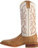 Image #3 - Justin Men's AQHA Remuda Full Quill Ostrich Exotic Boots, Tan, hi-res