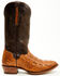 Image #2 - El Dorado Men's Exotic American Alligator Western Boots - Round Toe, Brass, hi-res