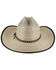 Image #3 - Cody James&reg; Men's Brown Trimmed Straw Hat, Natural, hi-res