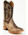 Image #1 - Cody James Men's Exotic Python Western Boots - Broad Square Toe, Dark Brown, hi-res