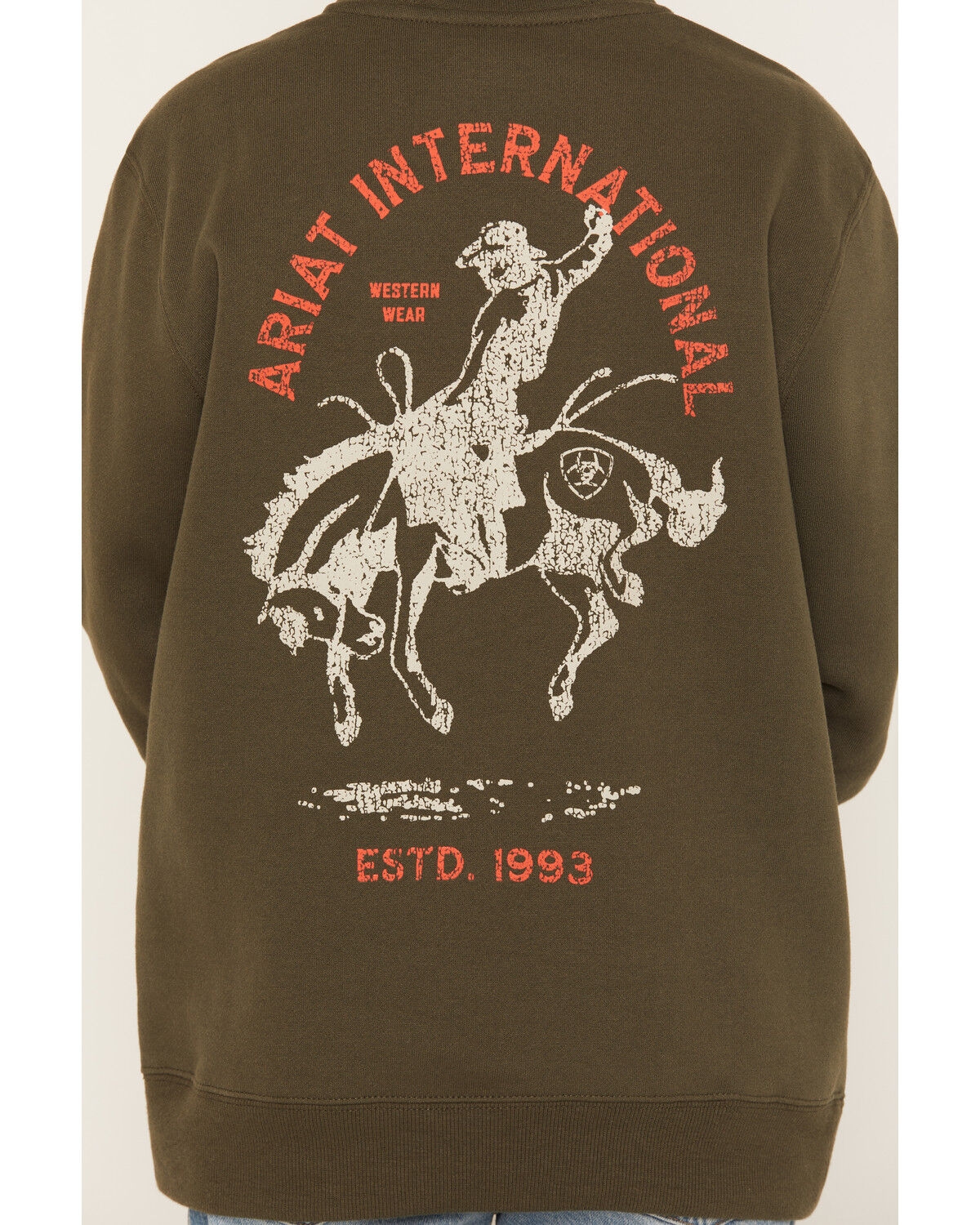 Image #3 - Ariat Boys' Rodeo Logo Graphic Hooded Sweatshirt, Green, hi-res